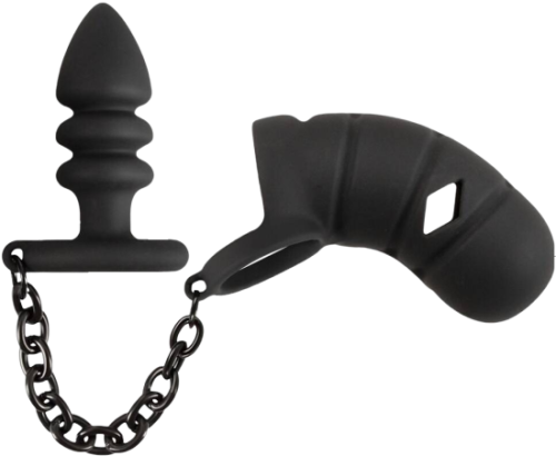 Cock cage with butt plug