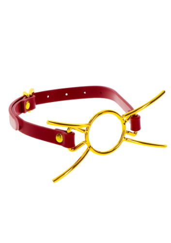 Taboom Bondage in Luxury Open Mouth Spider Gag