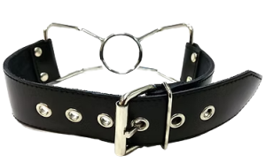 ROUGE Leather Spider Gag